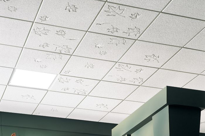 Tran-soi-khoang-la-gi